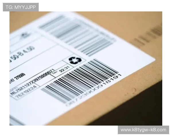 k8凯发中文站安全保障措施详解保障玩家资金安全的最佳选择 k8凯发中文站安全保障措施详解保障玩家资金安全的最佳选择