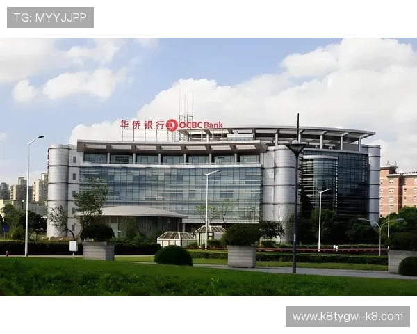 凯发体育开户注册常见错误及解决方案提升注册成功率的实用技巧