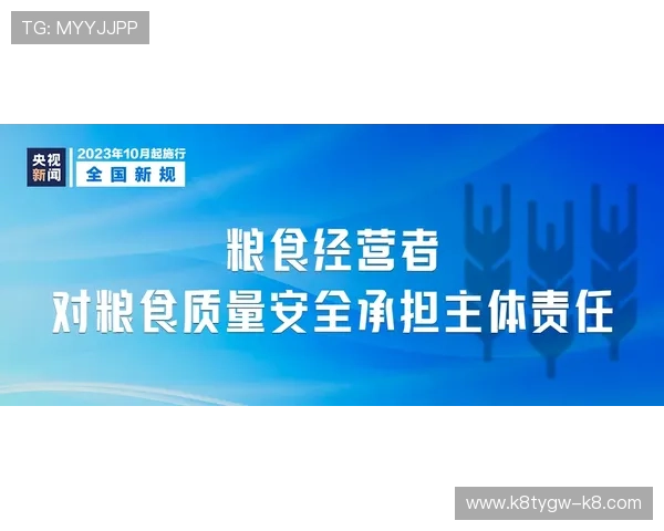 凯发九游会安全保障措施详解确保玩家资金与信息双重安全